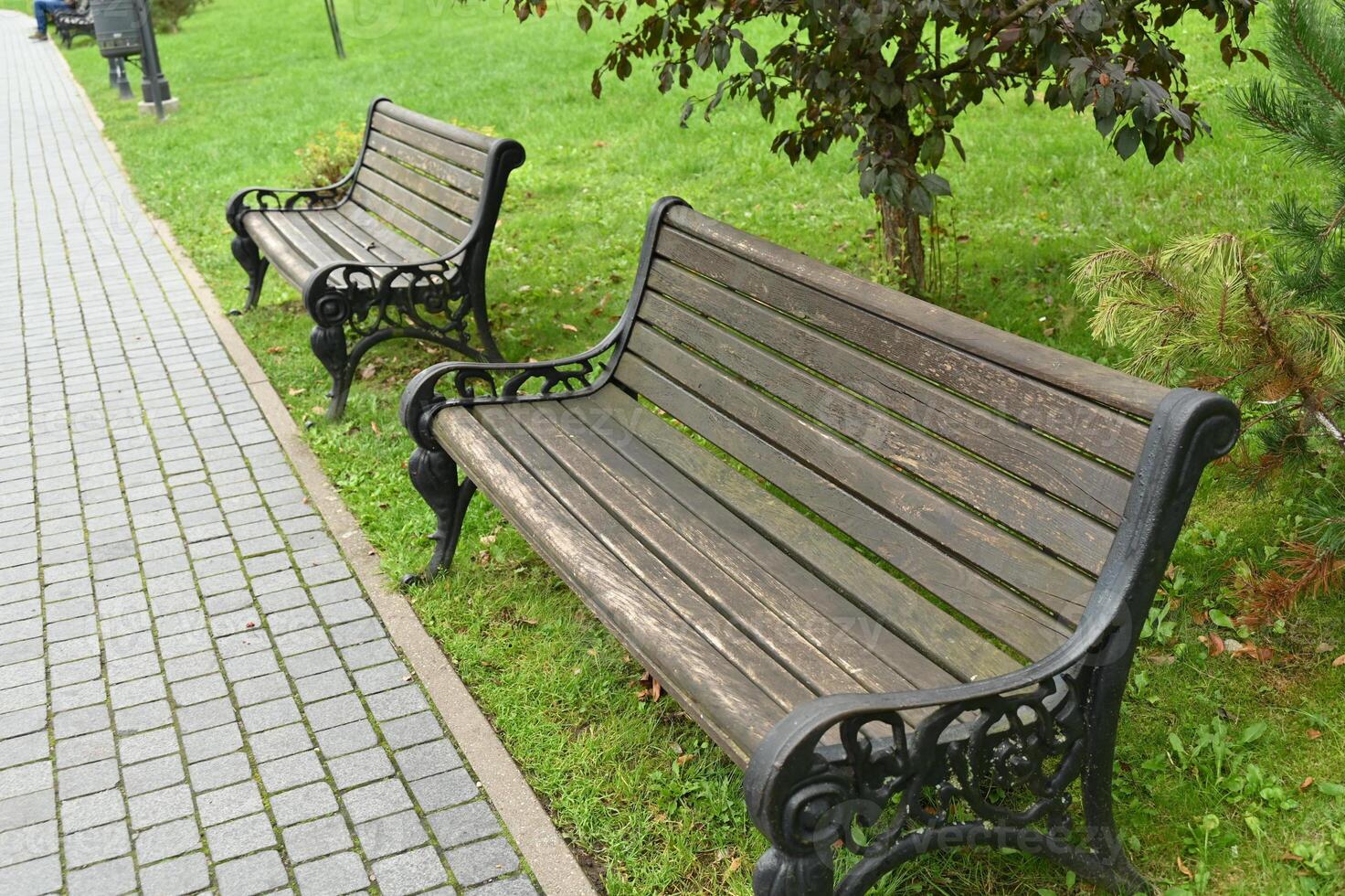 two wooden benches sitting on the grass next to a brick walkway photo