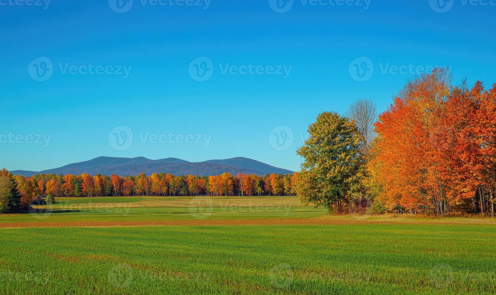 Tranquil fall landscape, open field, colorful trees photo