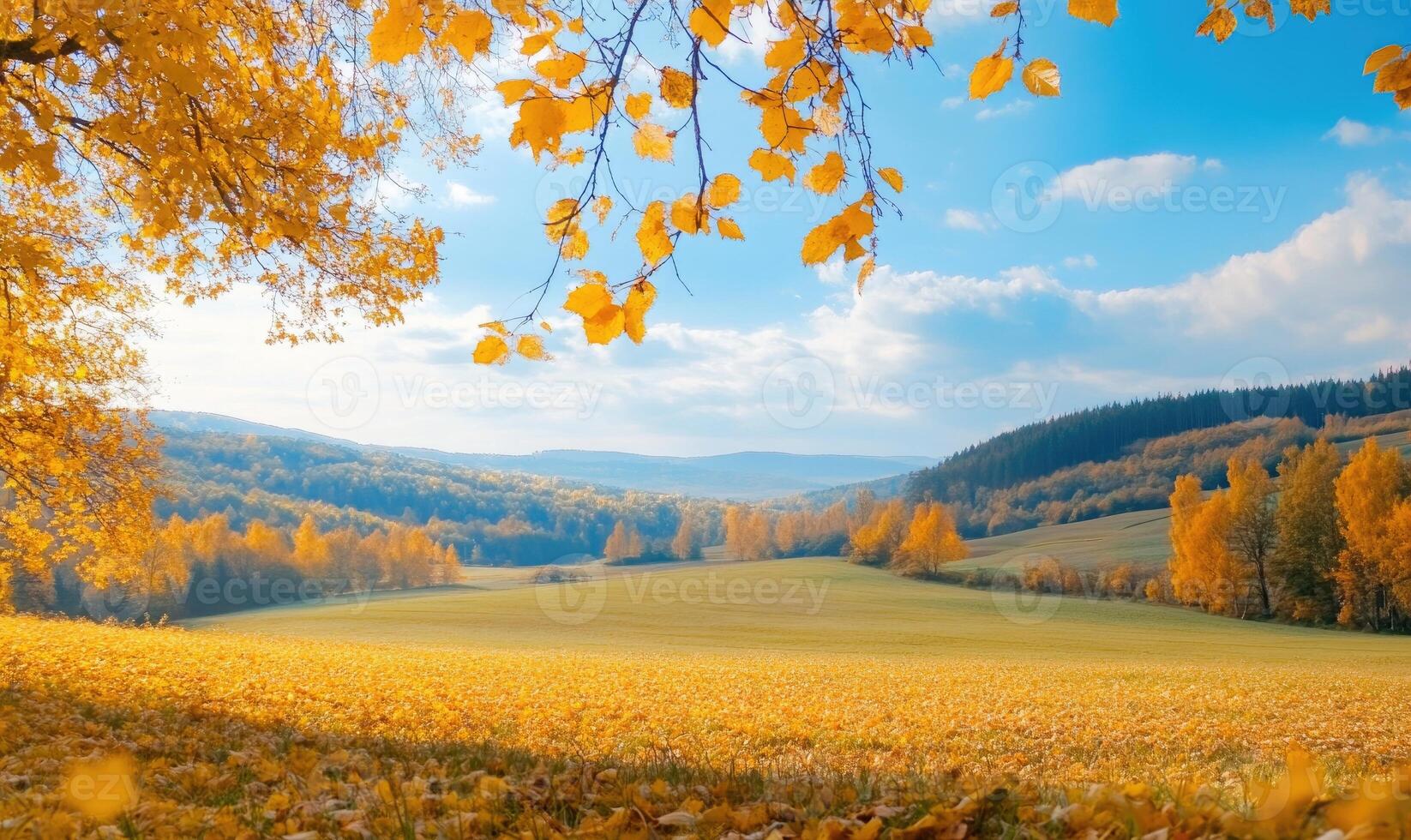 Scenic autumn view, rolling hills, golden leaves photo