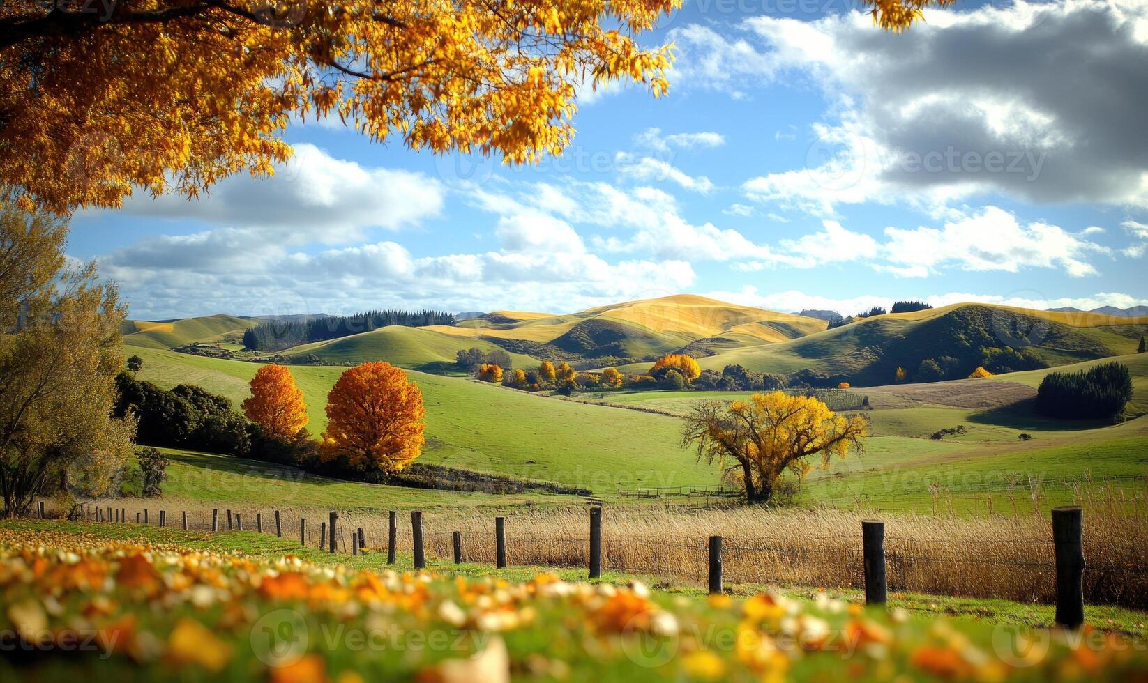 Scenic autumn view, rolling hills, golden leaves photo