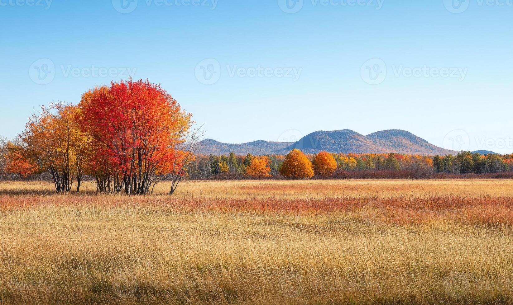 Scenic fall scenery, open field, colorful trees, distant mountains photo