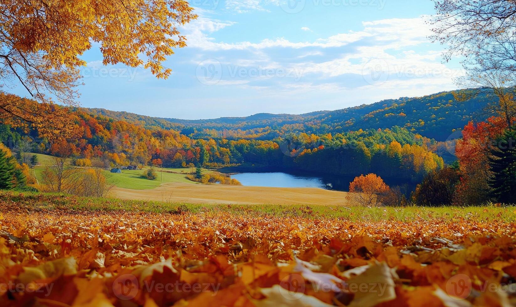 Scenic fall scenery, open field, colorful trees, distant mountains photo