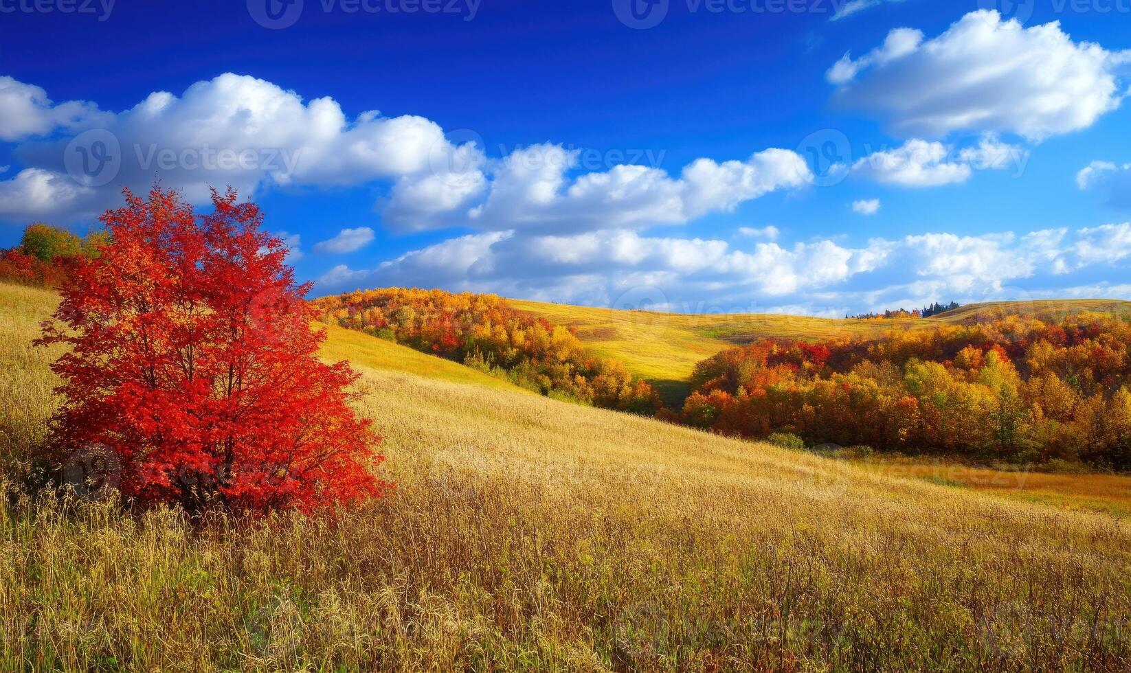 Vibrant autumn scenery, rolling hills, red and yellow leaves photo