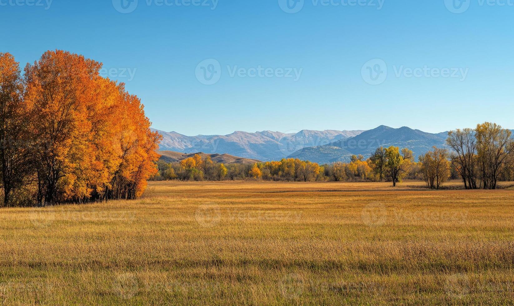 Tranquil fall landscape, open field, colorful trees photo