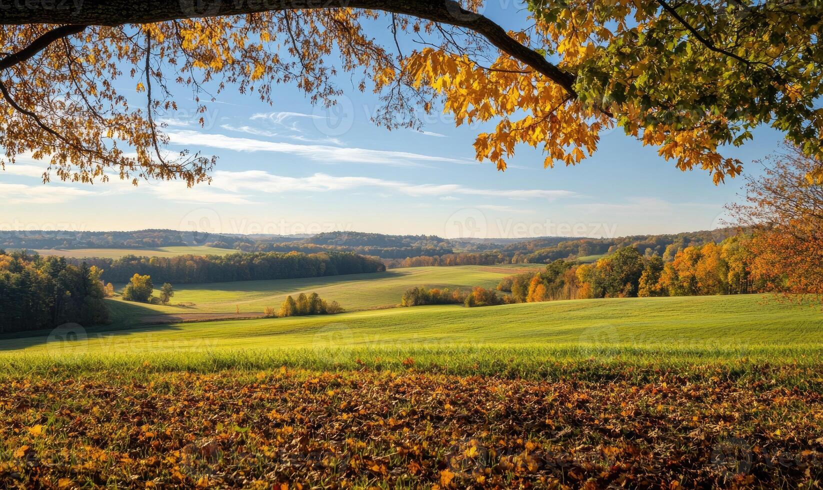 Tranquil fall landscape, open field, colorful trees photo