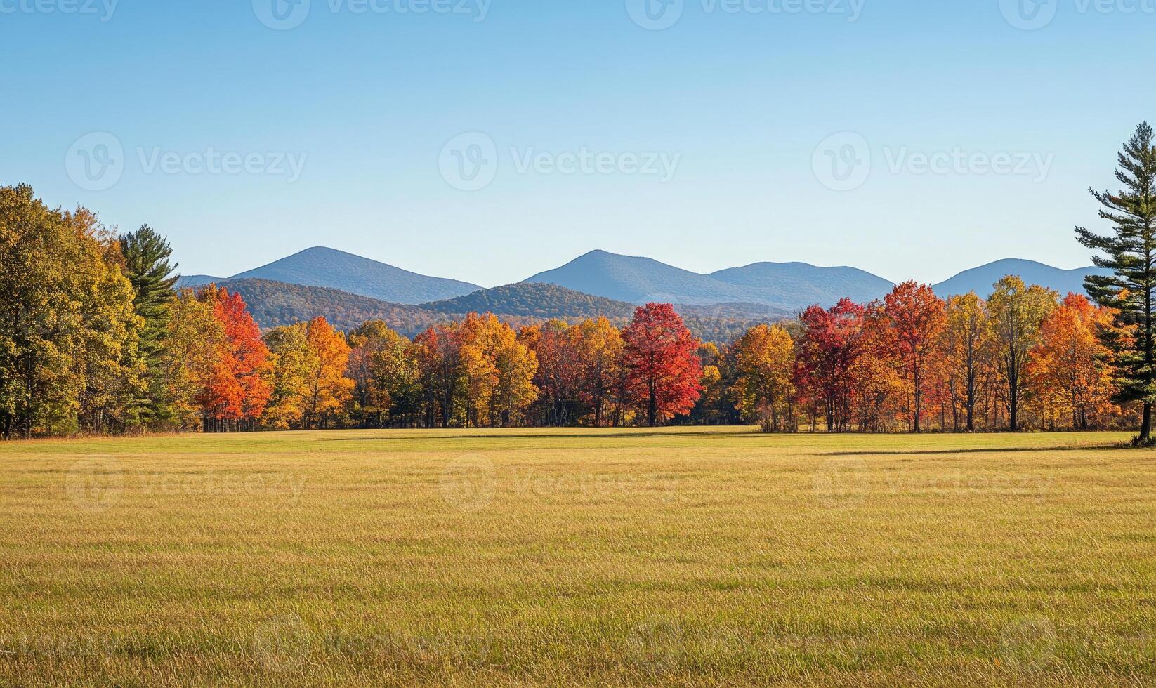 Tranquil fall landscape, open field, colorful trees photo