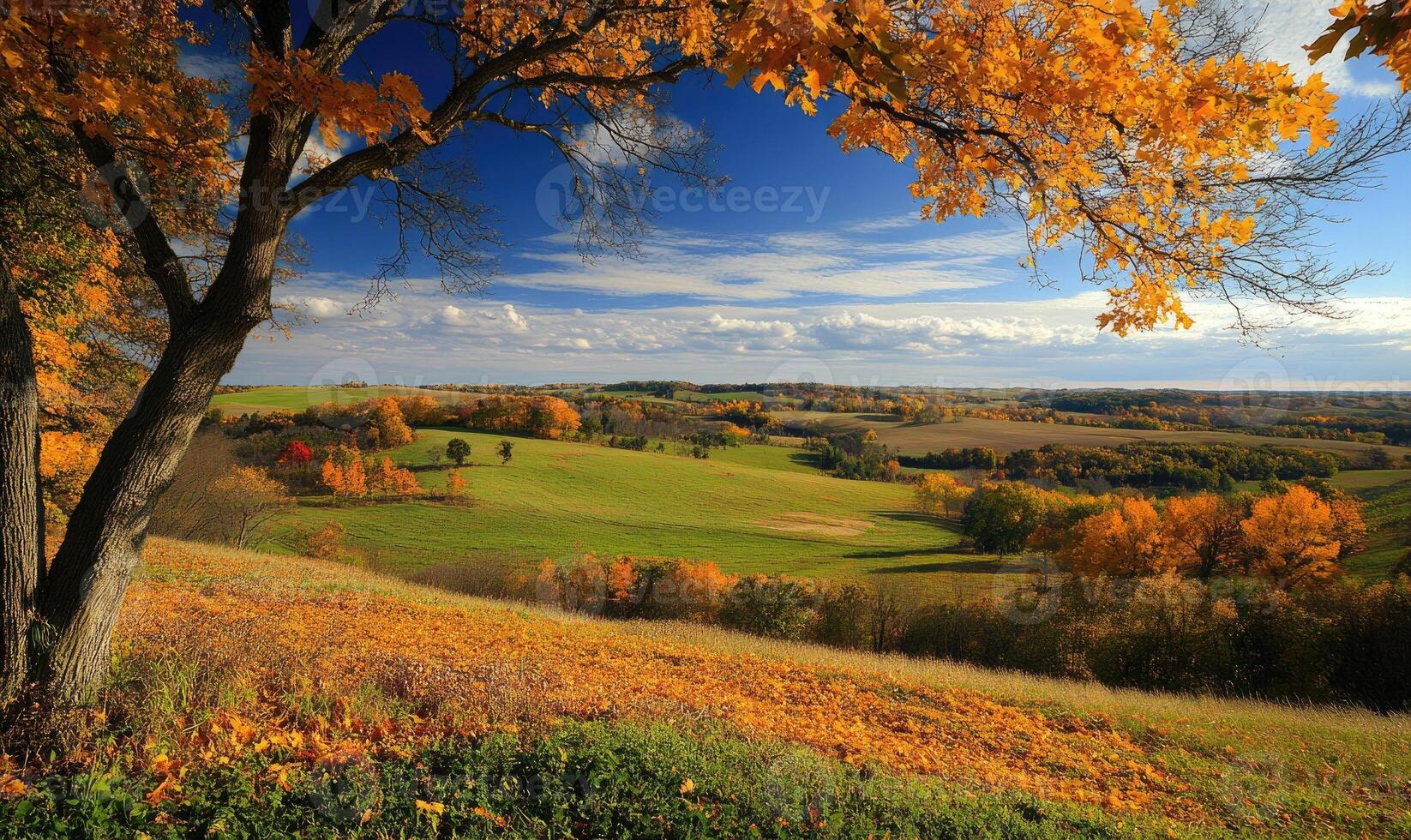 Scenic fall scenery, open field, colorful trees, distant mountains photo