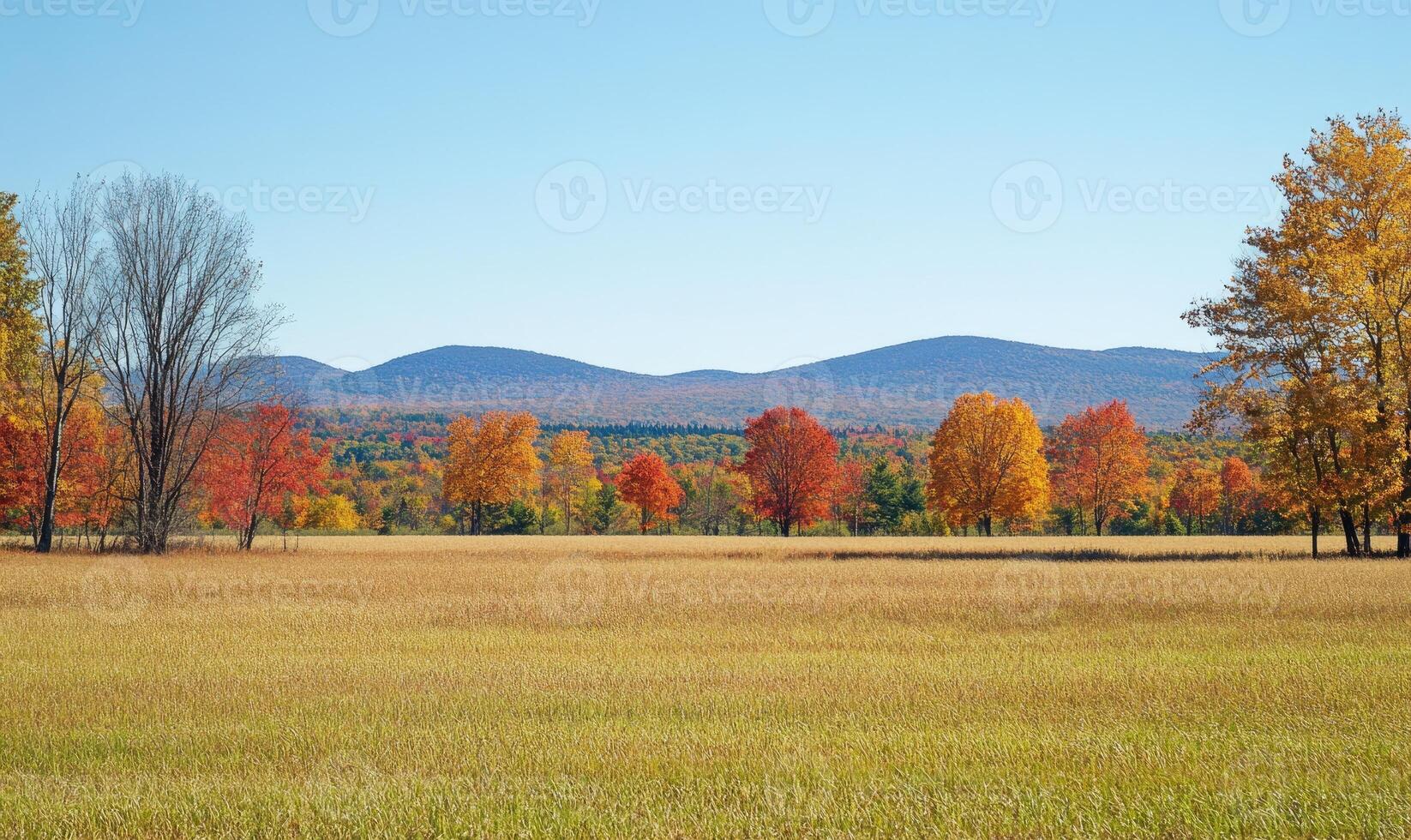 Tranquil fall landscape, open field, colorful trees photo