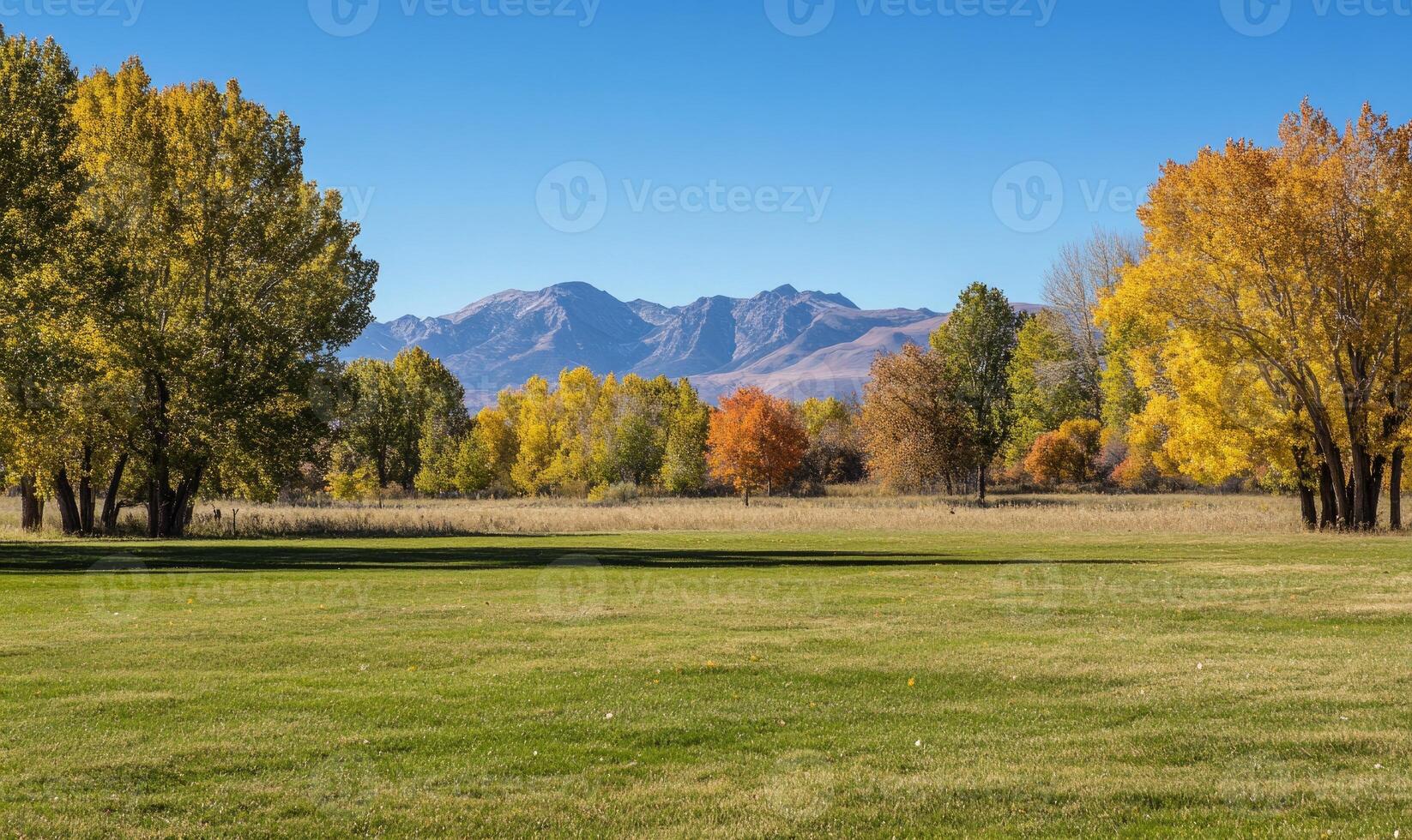 Tranquil fall landscape, open field, colorful trees photo