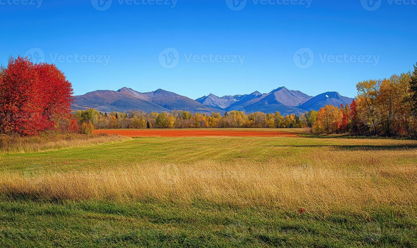 Tranquil autumn view, open field, colorful trees, distant mountains photo