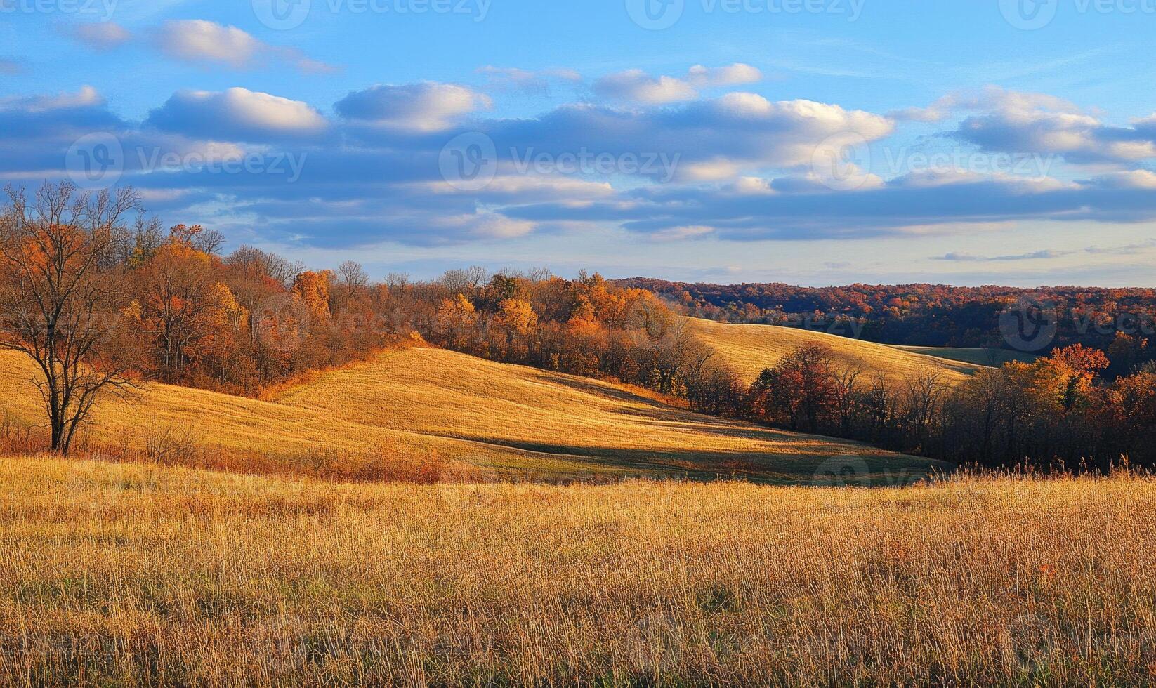 Tranquil fall landscape, open field, colorful trees photo