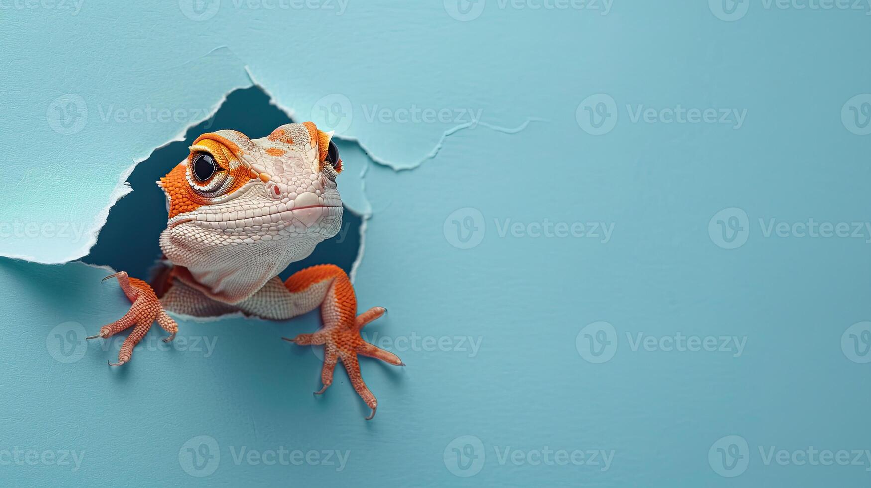 cute anole peeking through a hole photo