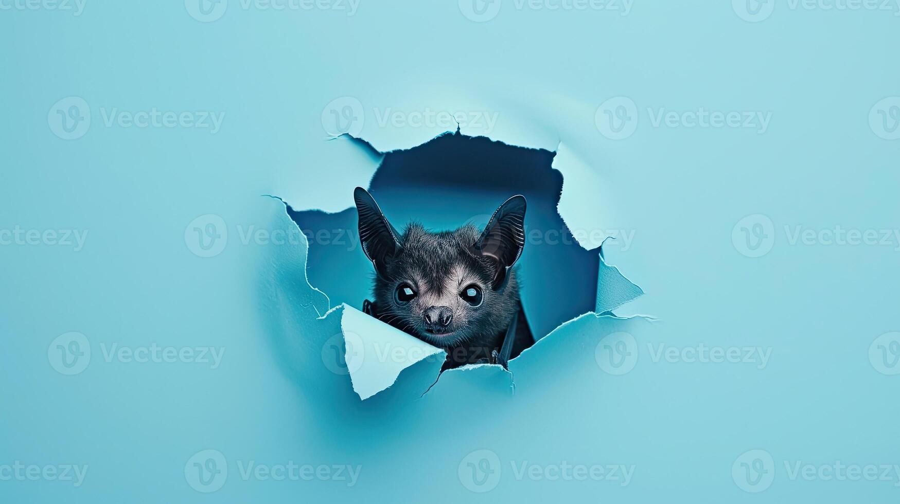 cute bat peeking through a hole photo