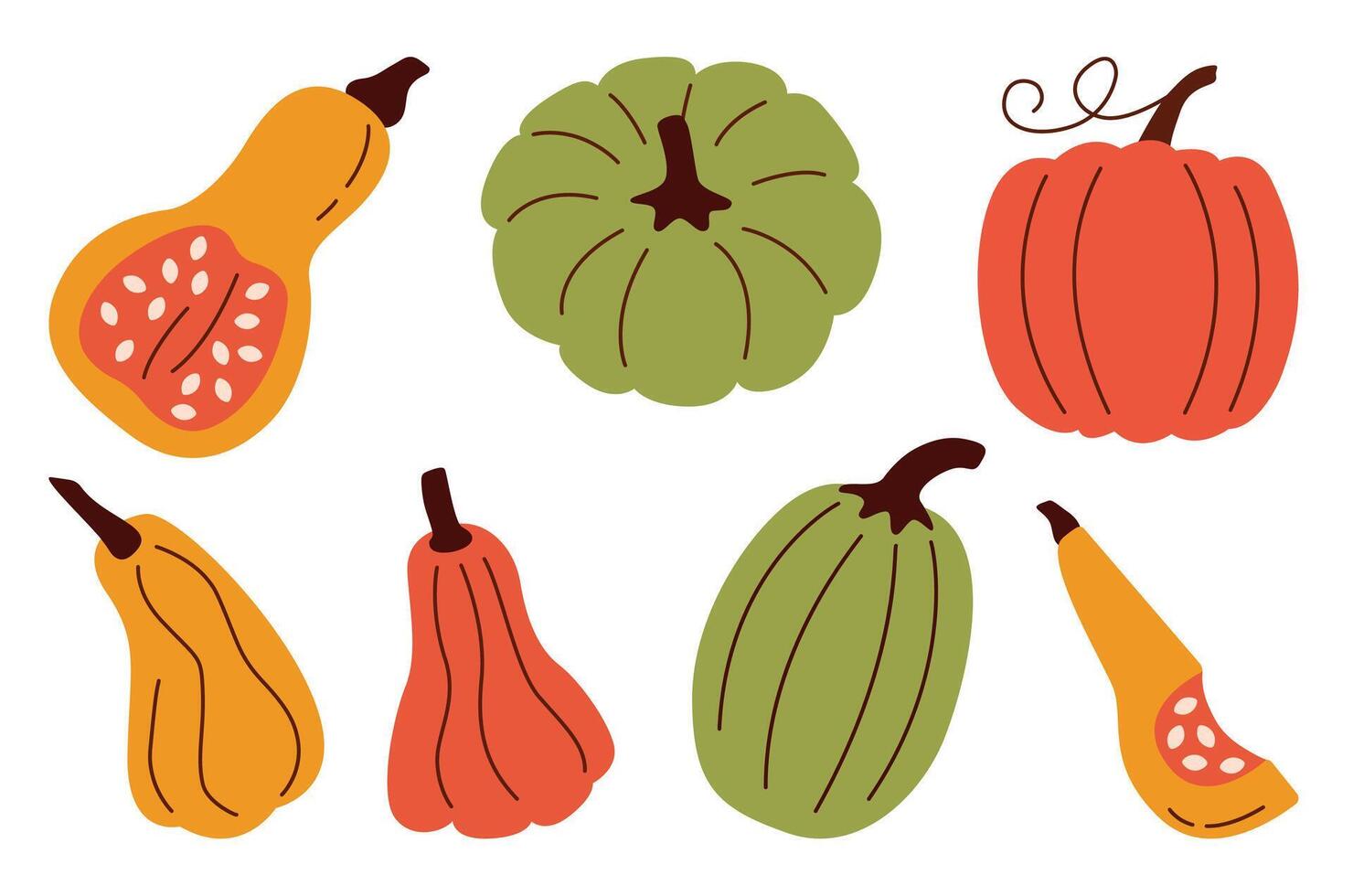 Flat style pumpkin set with colorful autumn gourds and squash. Perfect for fall-themed designs, illustrations, or seasonal decor. Add a touch of autumn to any creative project. vector