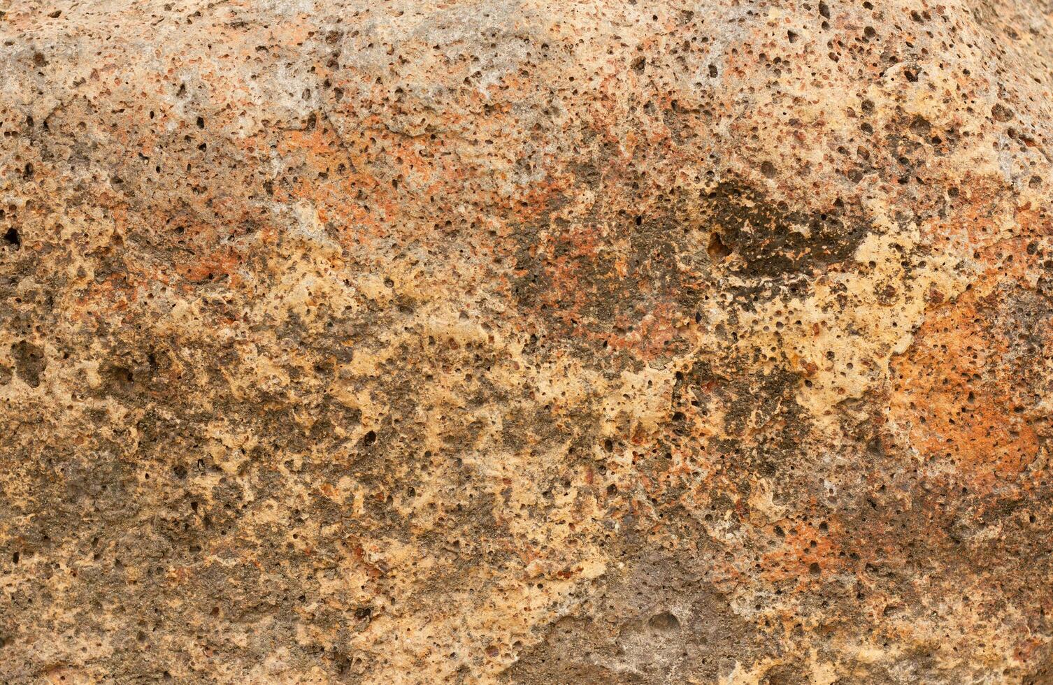 Close up texture of white porous stone photo