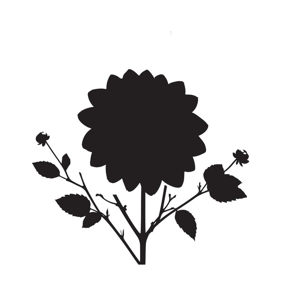 black Dahlia with branch image white background vector