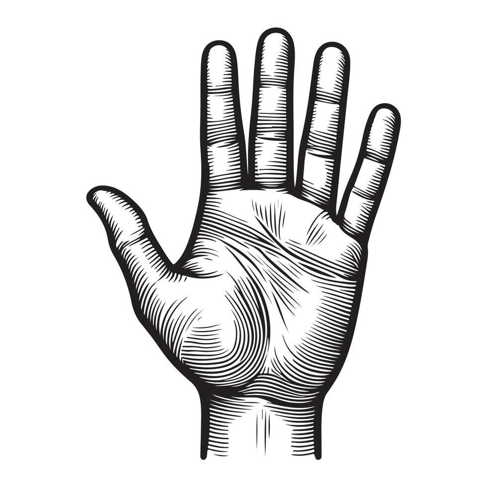 Hand palm outline image with white background vector
