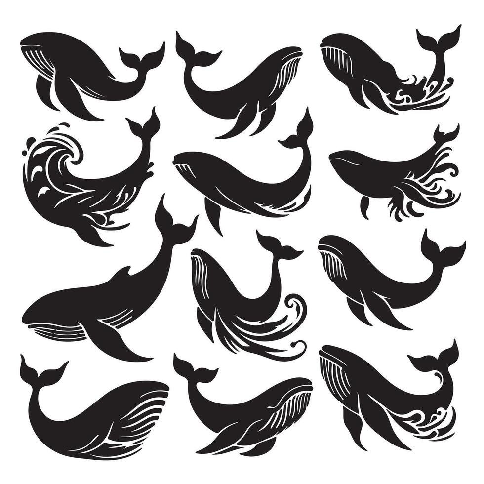 black silhouette blue whale set vector