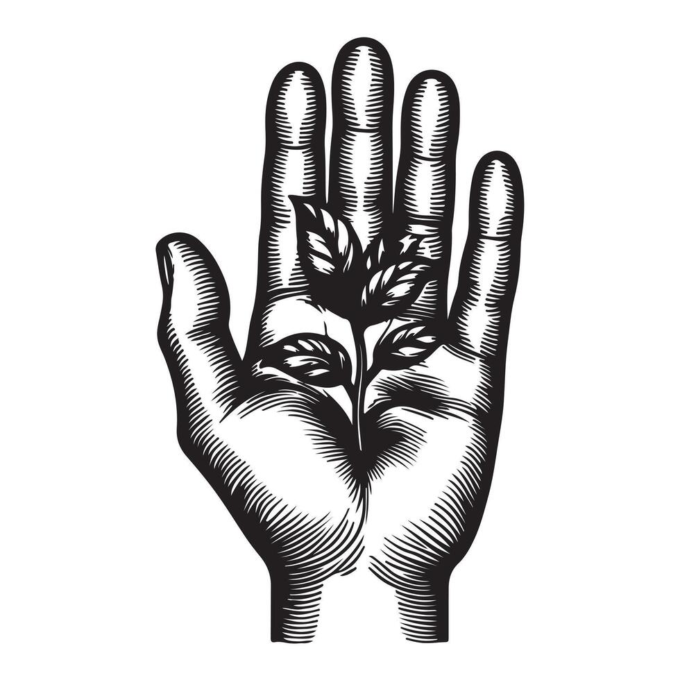Hand palm outline image with white background vector