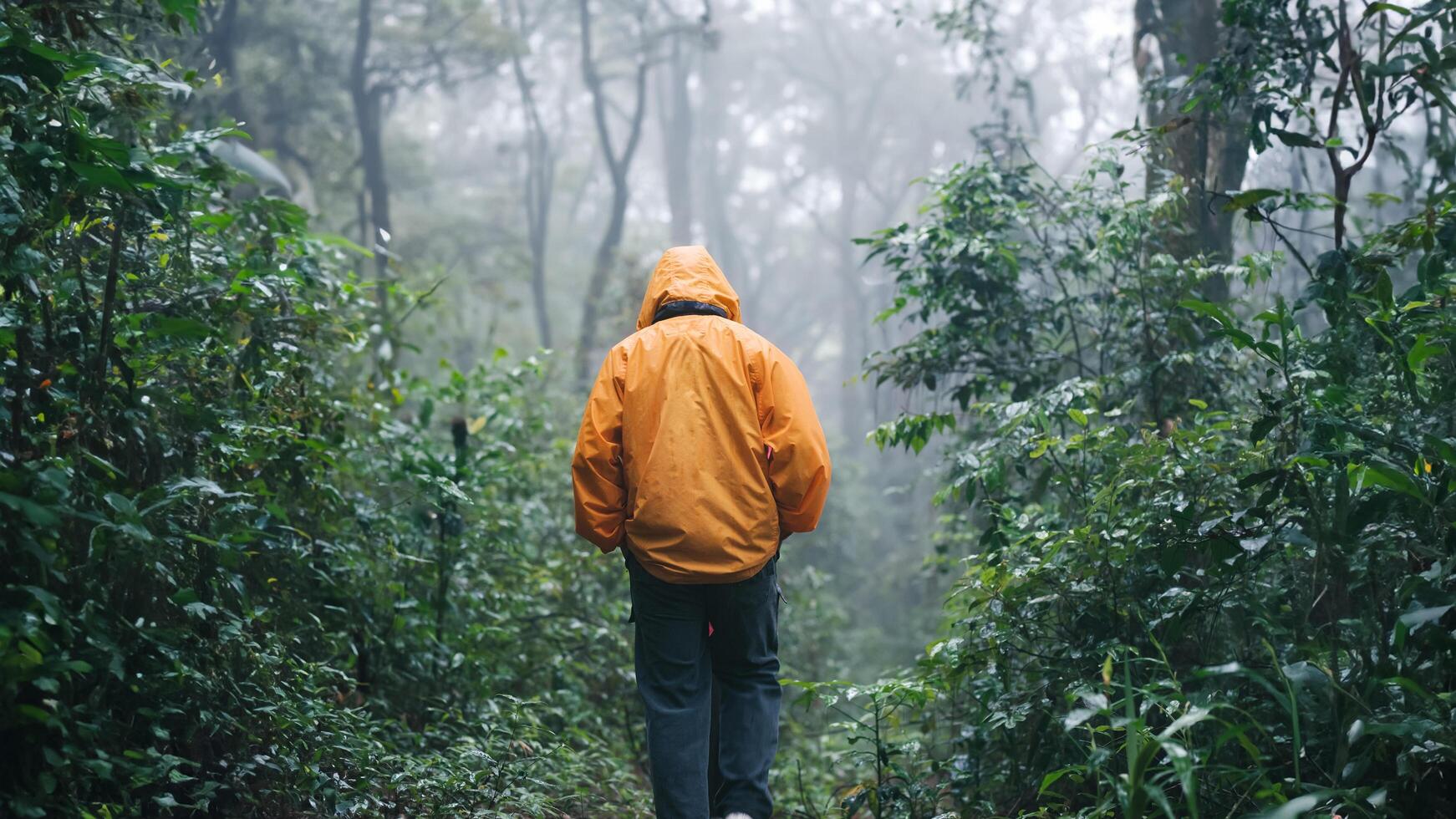 Generated imaA rear view photo of a person walking in a forest, surrounded by trees and nature, enjoying the calm and serene atmosphere.ge