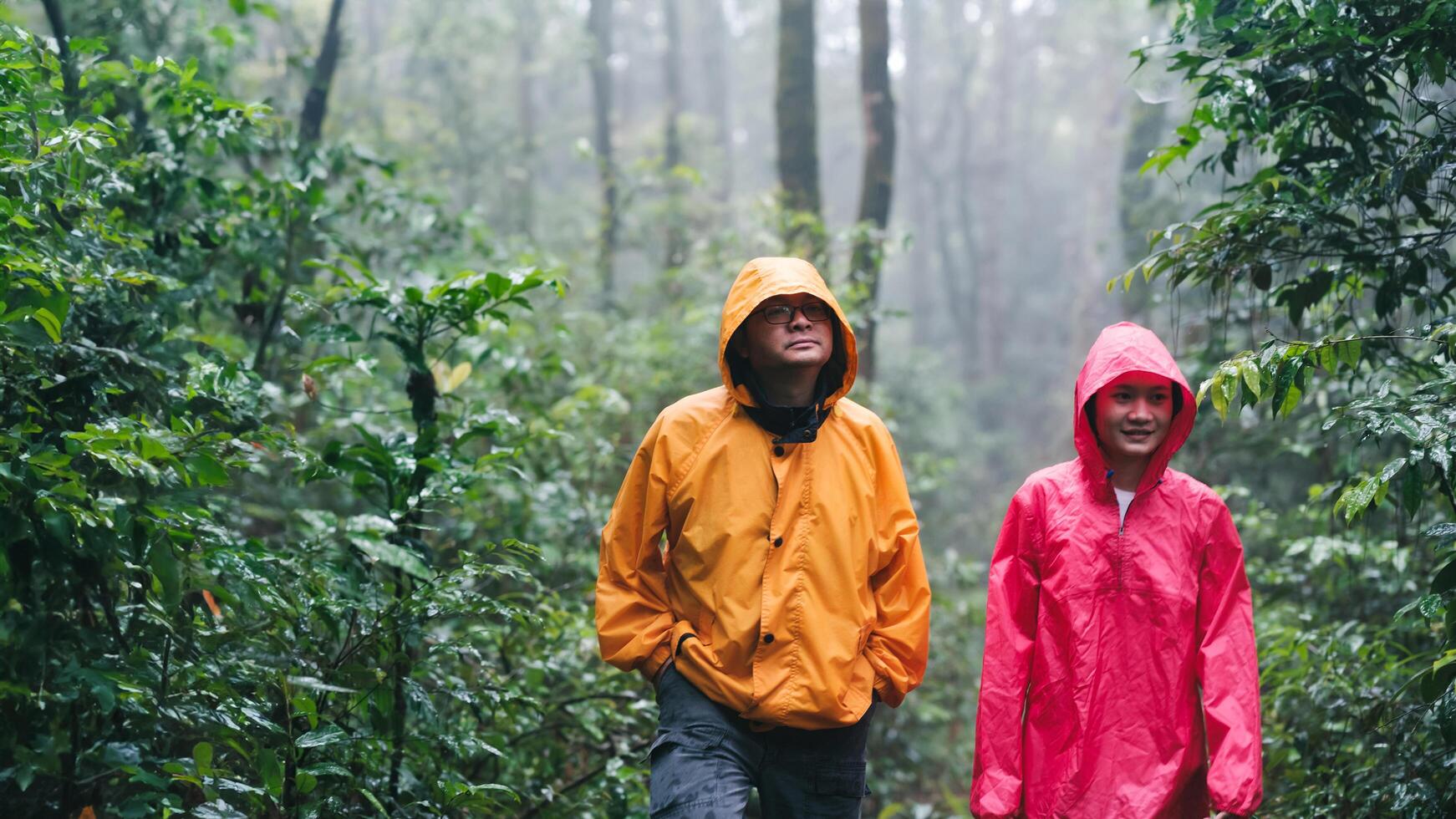 Father and daughter hiking exploring a lush forest photo