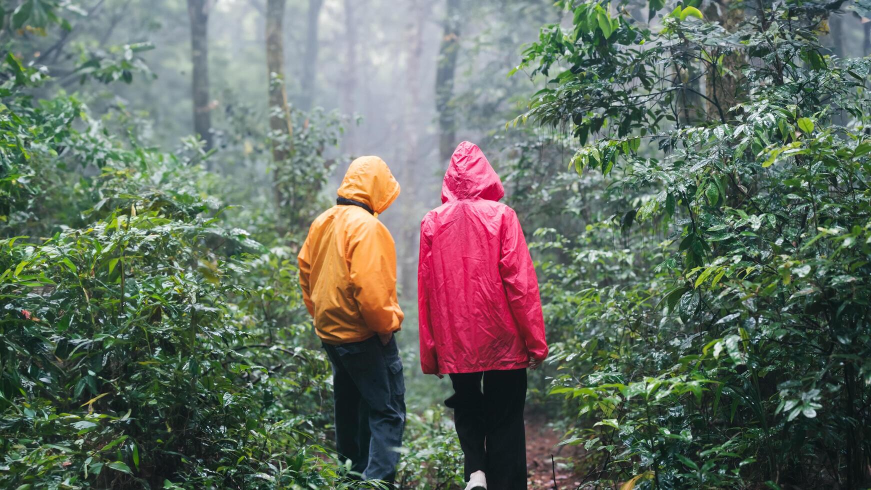 Father and daughter hiking exploring a lush forest photo