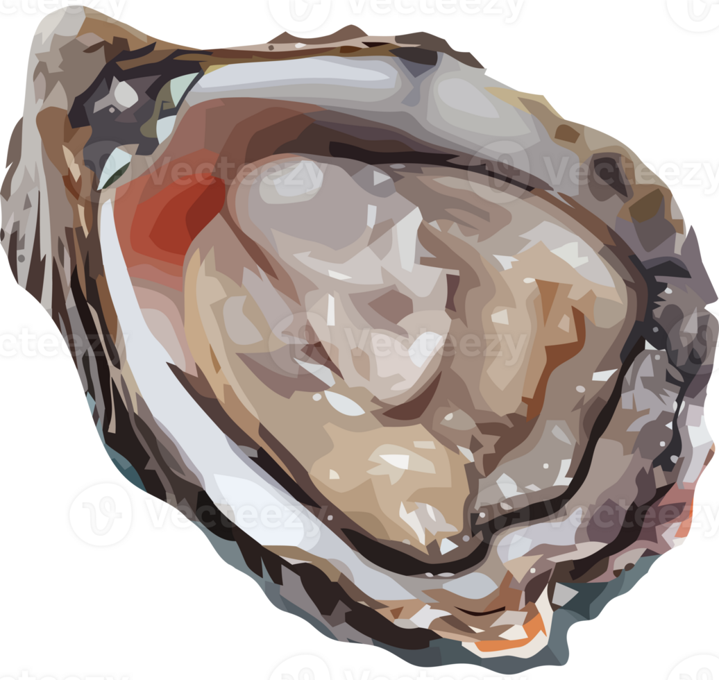 An oyster on a transparency background png