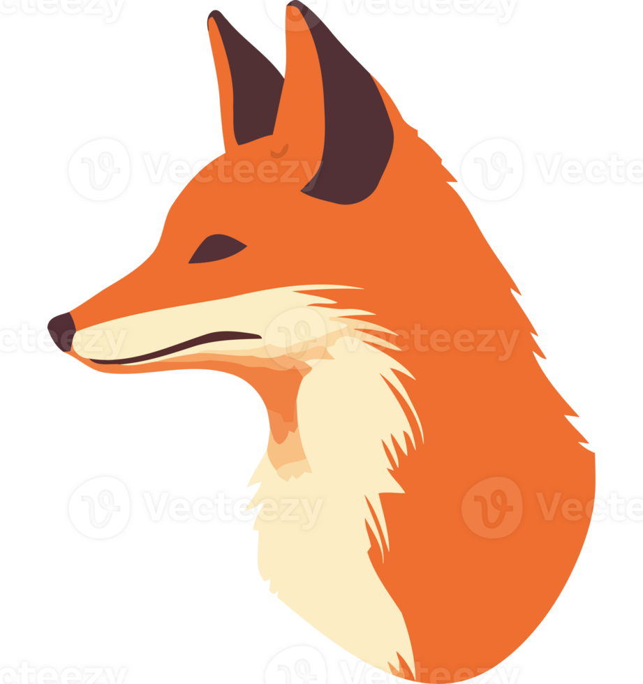 An orange fox head on a transparency background png