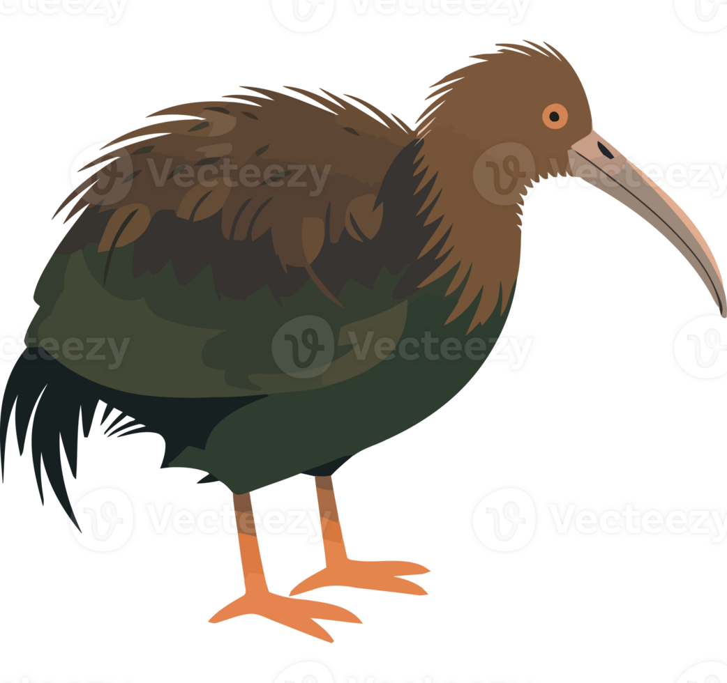 A brown bird with a long beak png