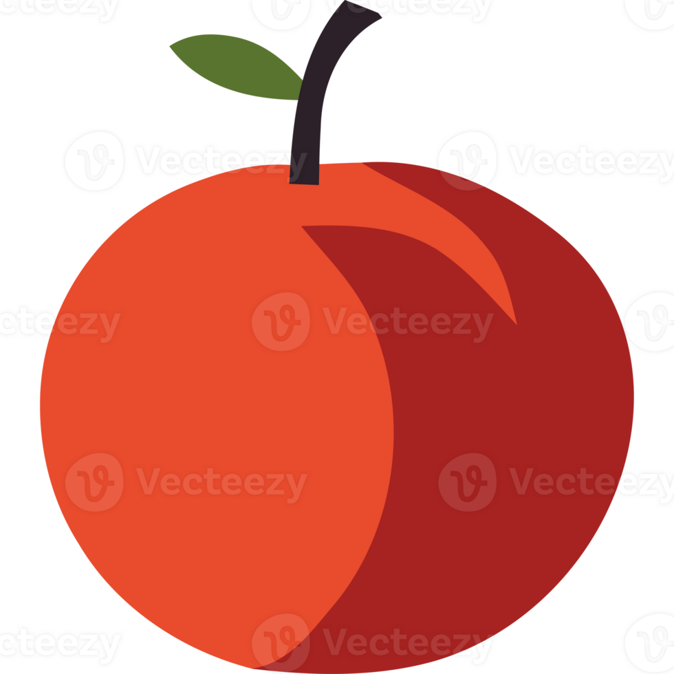 An orange fruit is shown on a transparent background png