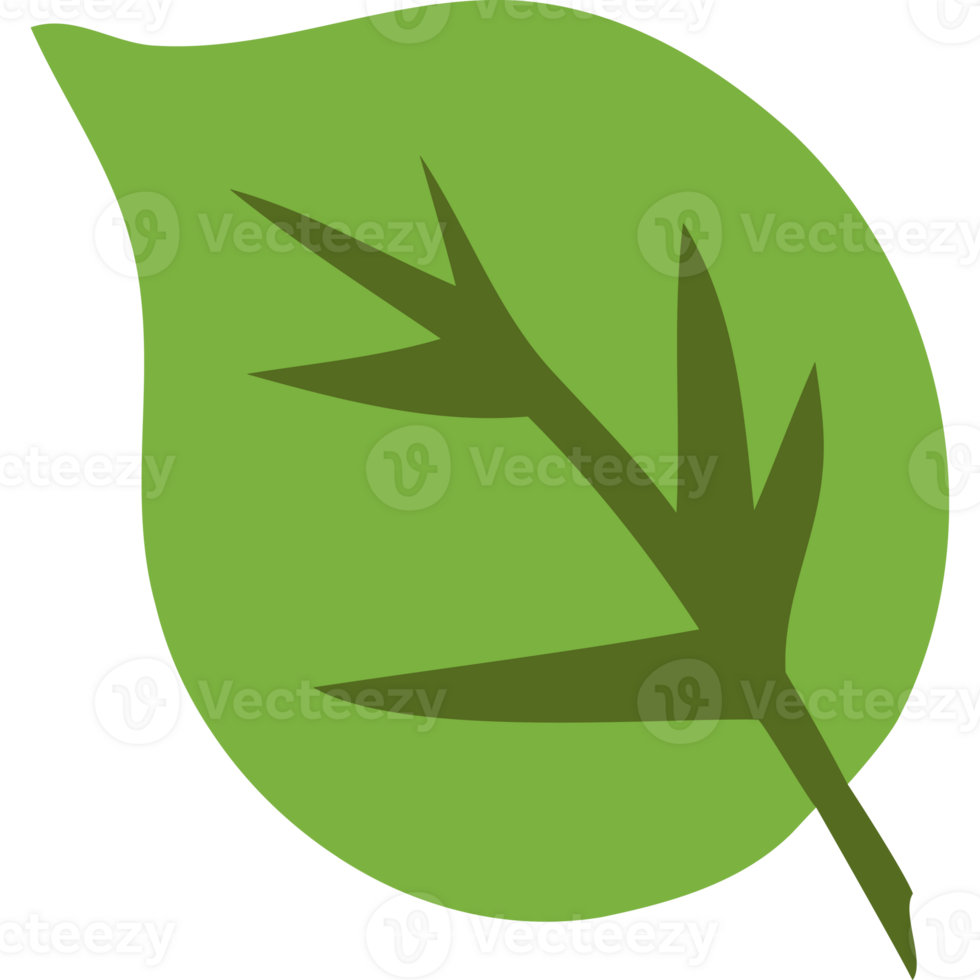 A green leaf icon on a transparent background png