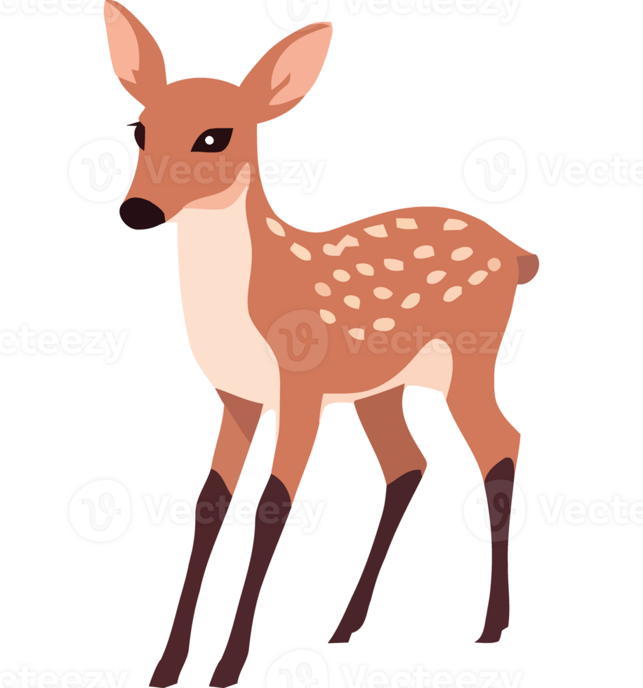 A deer standing on a transparent background png