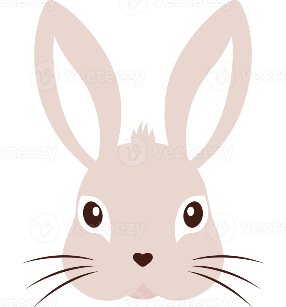 A rabbit's face is shown on a transparent background png