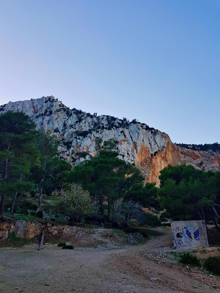 Rock mountain, majestically rising with its rugged terrain. At base, lush pine trees and fig trees photo