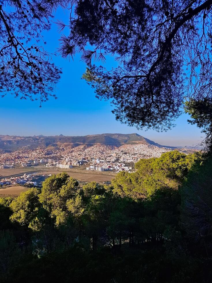 Tetouan Cityscape Framed by Pine Trees Overlooking Tetouan Natural Beauty From a Unique Vantage Point photo