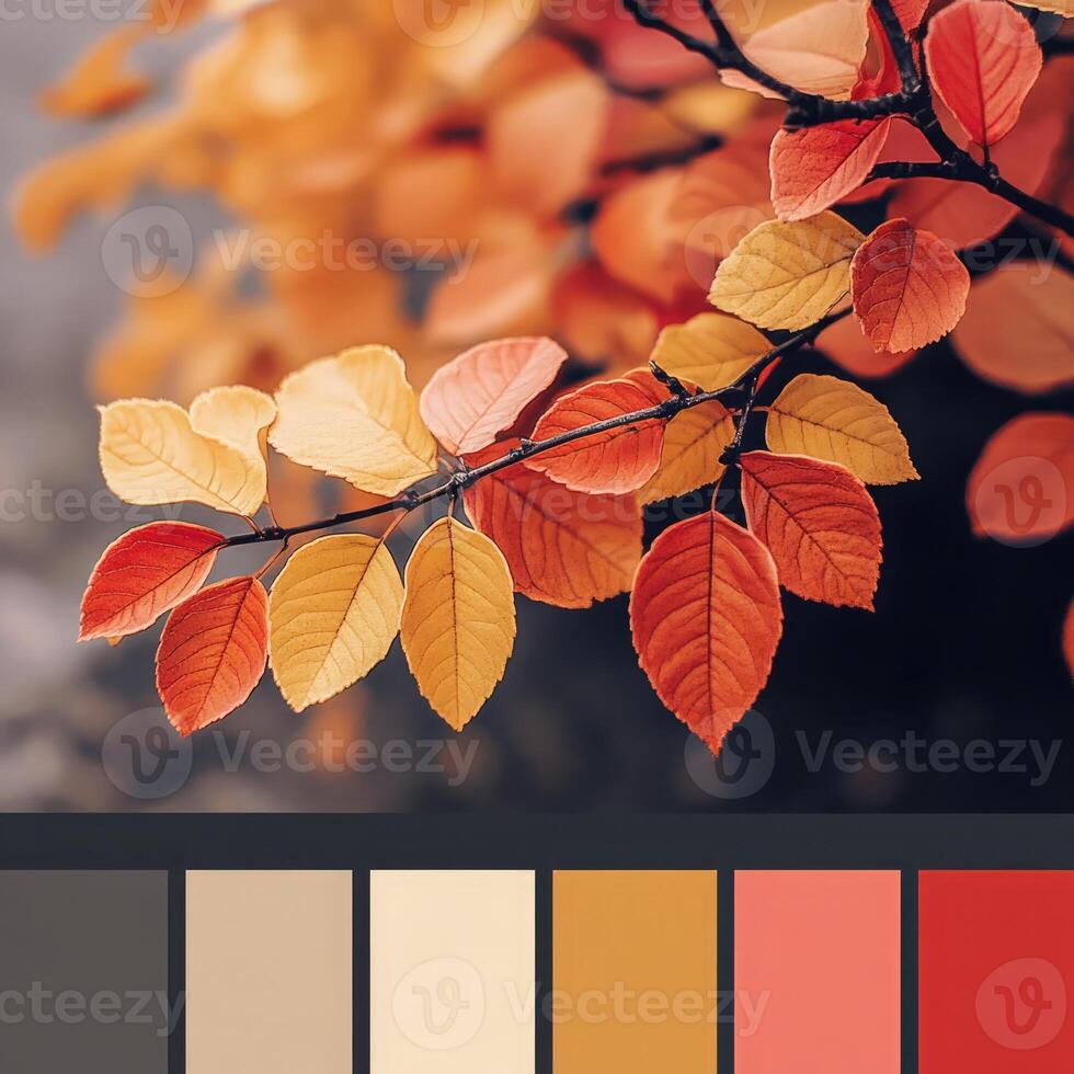 Vibrant autumn leaves showcase a stunning array of colors in a tranquil setting during the fall season photo