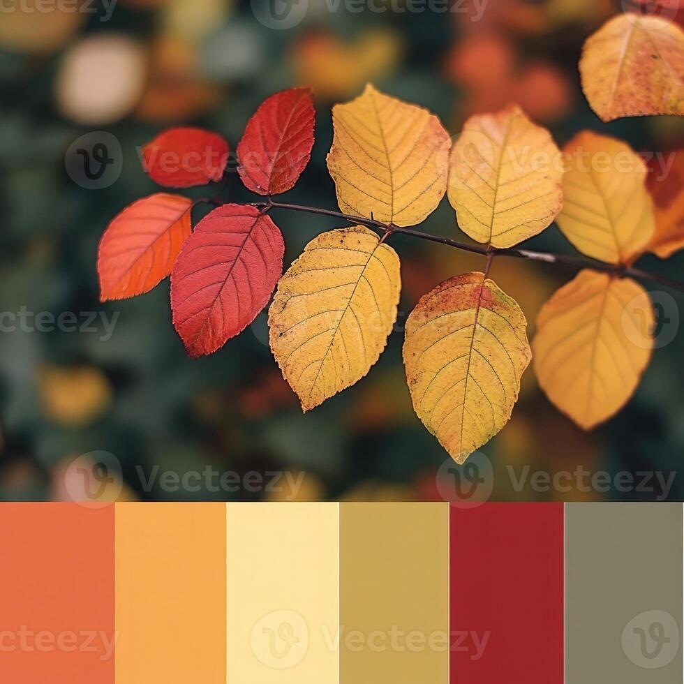 Vibrant autumn leaves showcase a stunning array of colors in a tranquil setting during the fall season photo