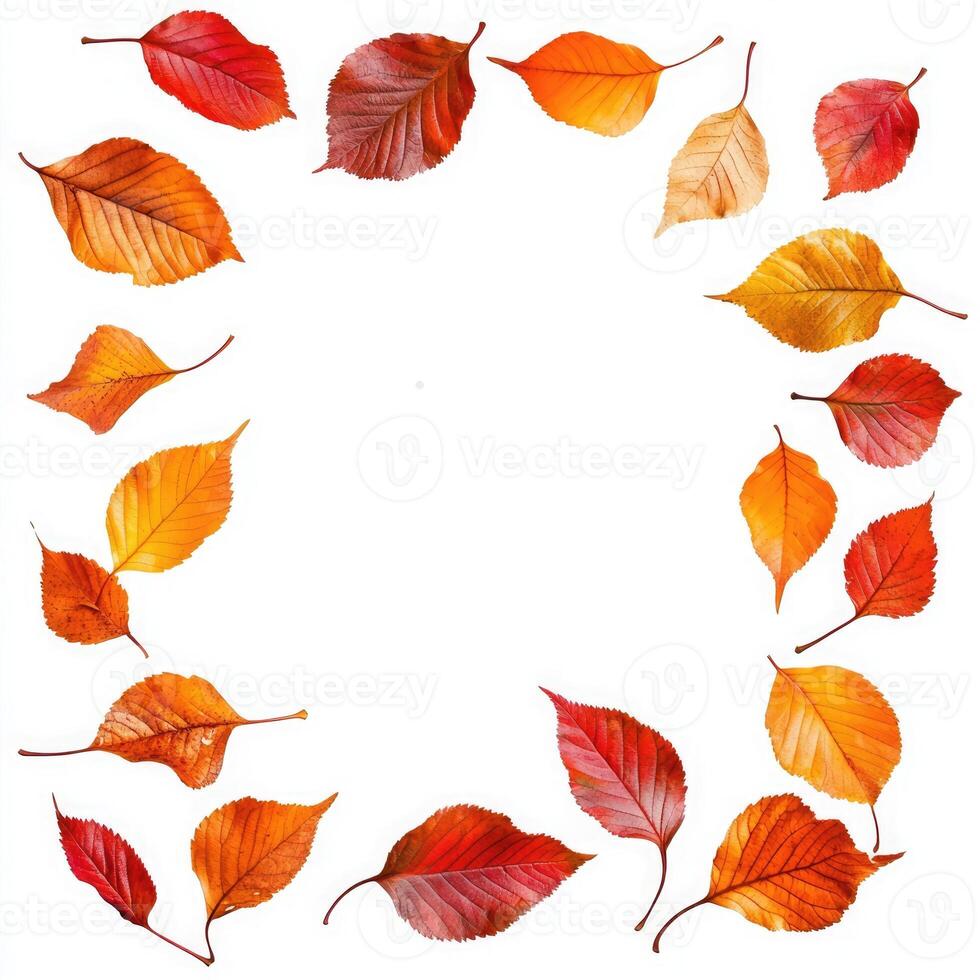 A vibrant autumn wreath made from colorful leaves and red berries arranged on a white background to celebrate the fall season photo