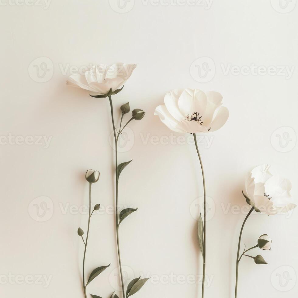 Delicate flowers in soft pastel tones displayed elegantly against a light background photo