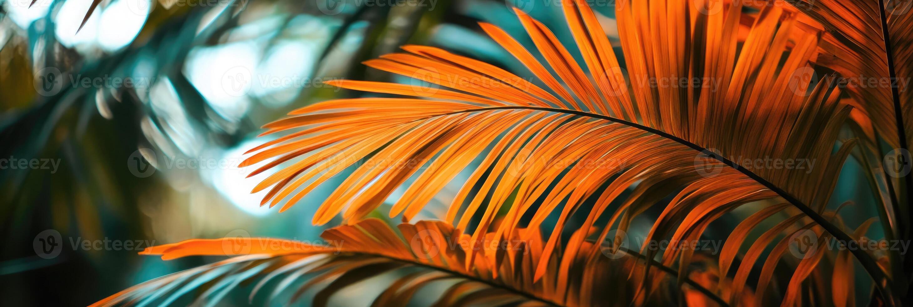 Lush tropical palm leaves displaying vibrant orange hues in a sunlit forest during the late afternoon photo
