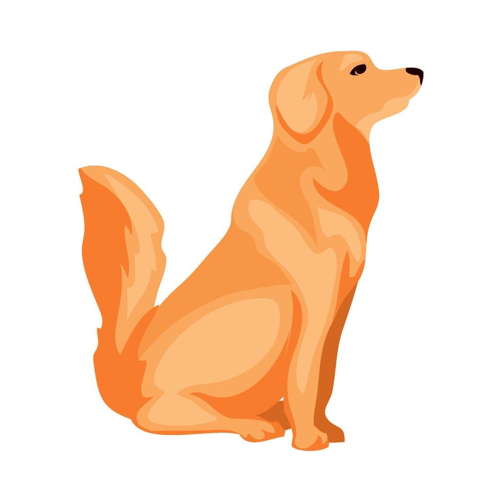 Golden retriever dog sitting illustration vector