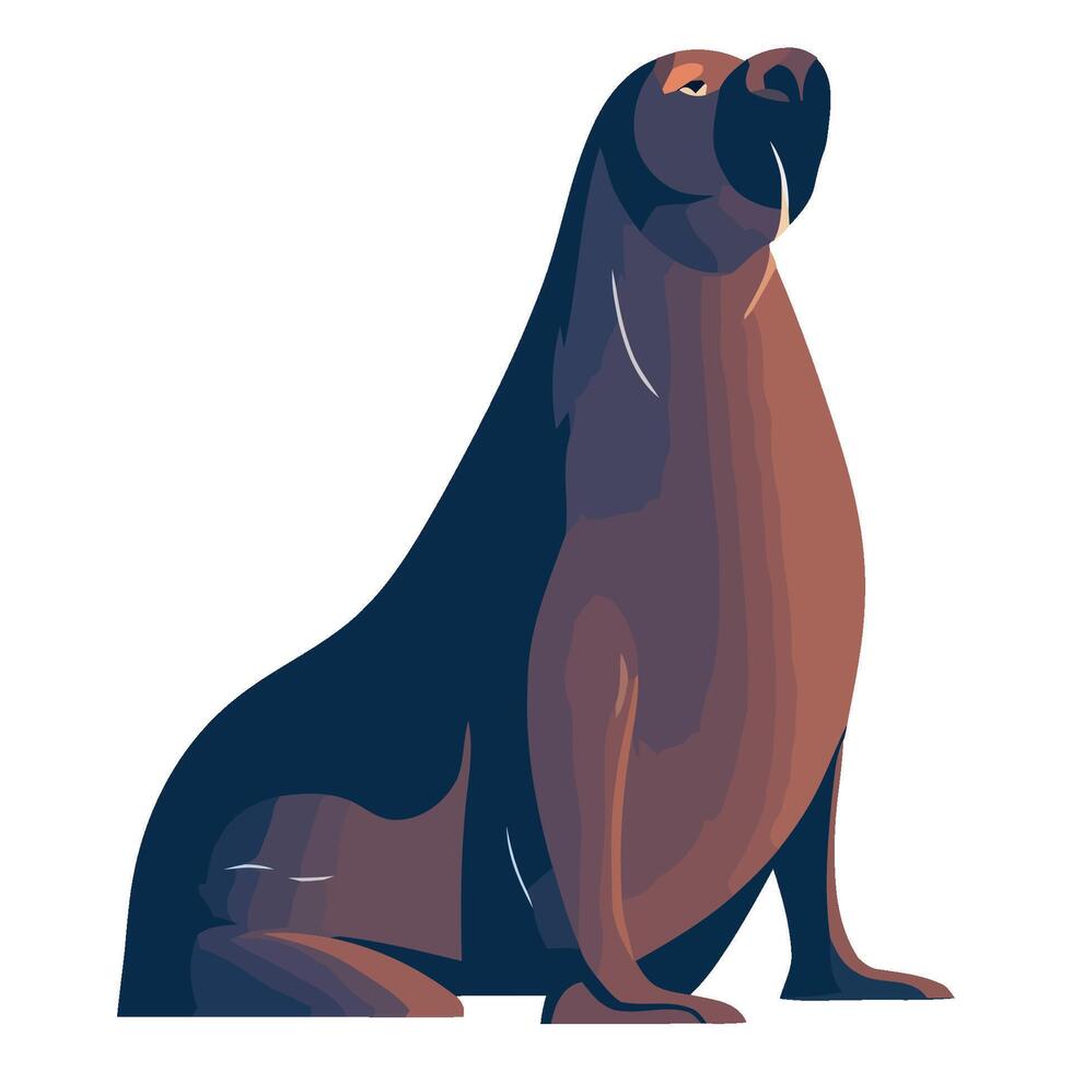 Sea lion sitting on white background illustration vector