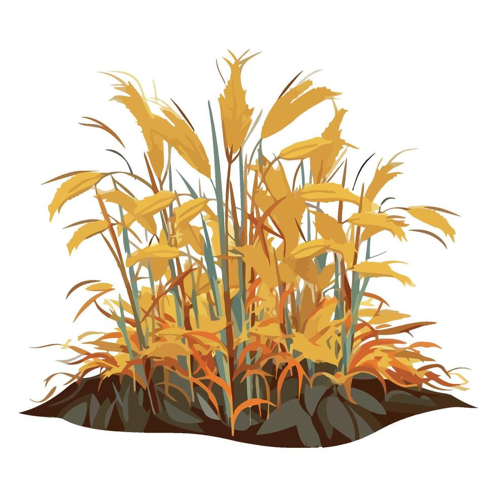 A field of yellow grass with tall grasses vector