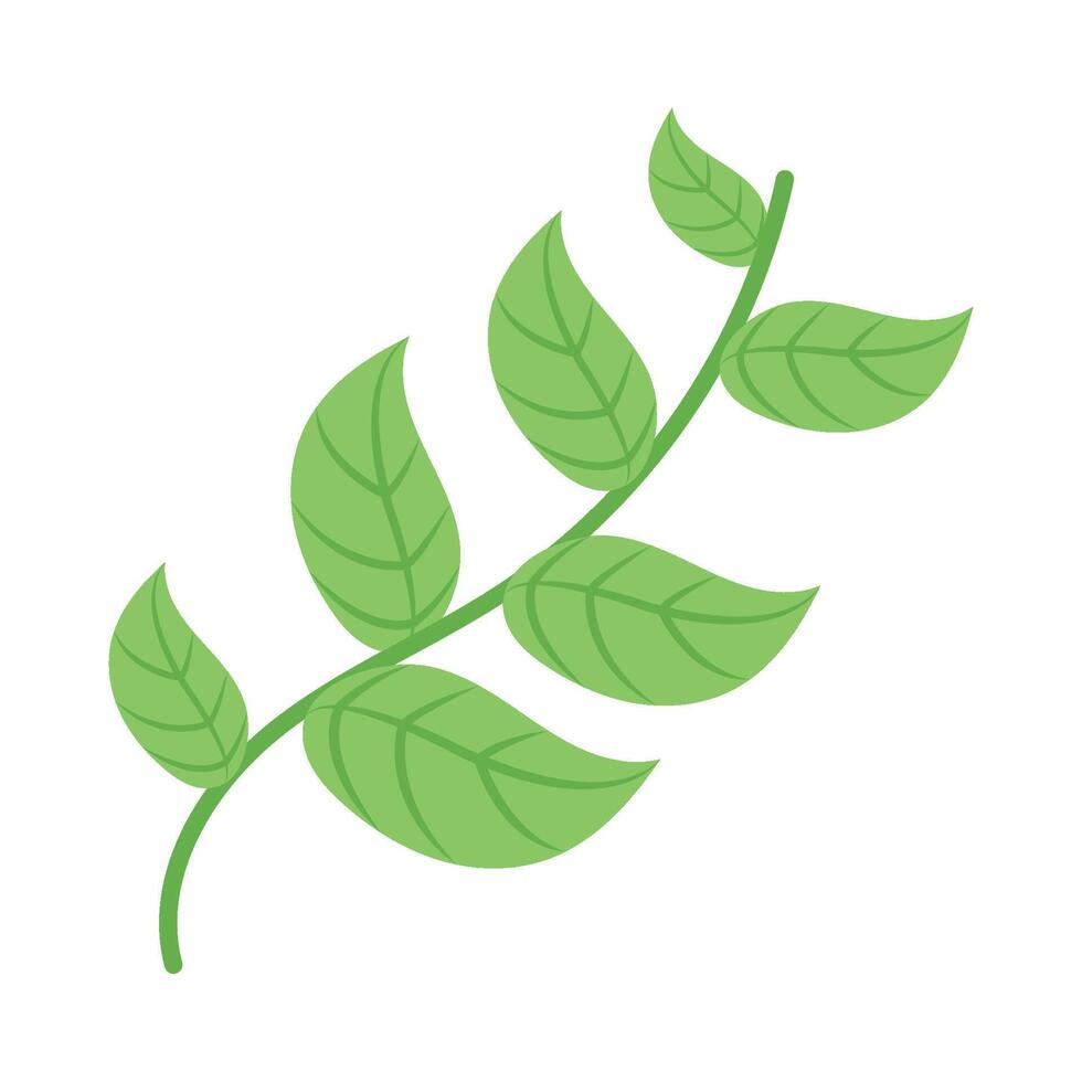 A green leaf icon on a white background vector
