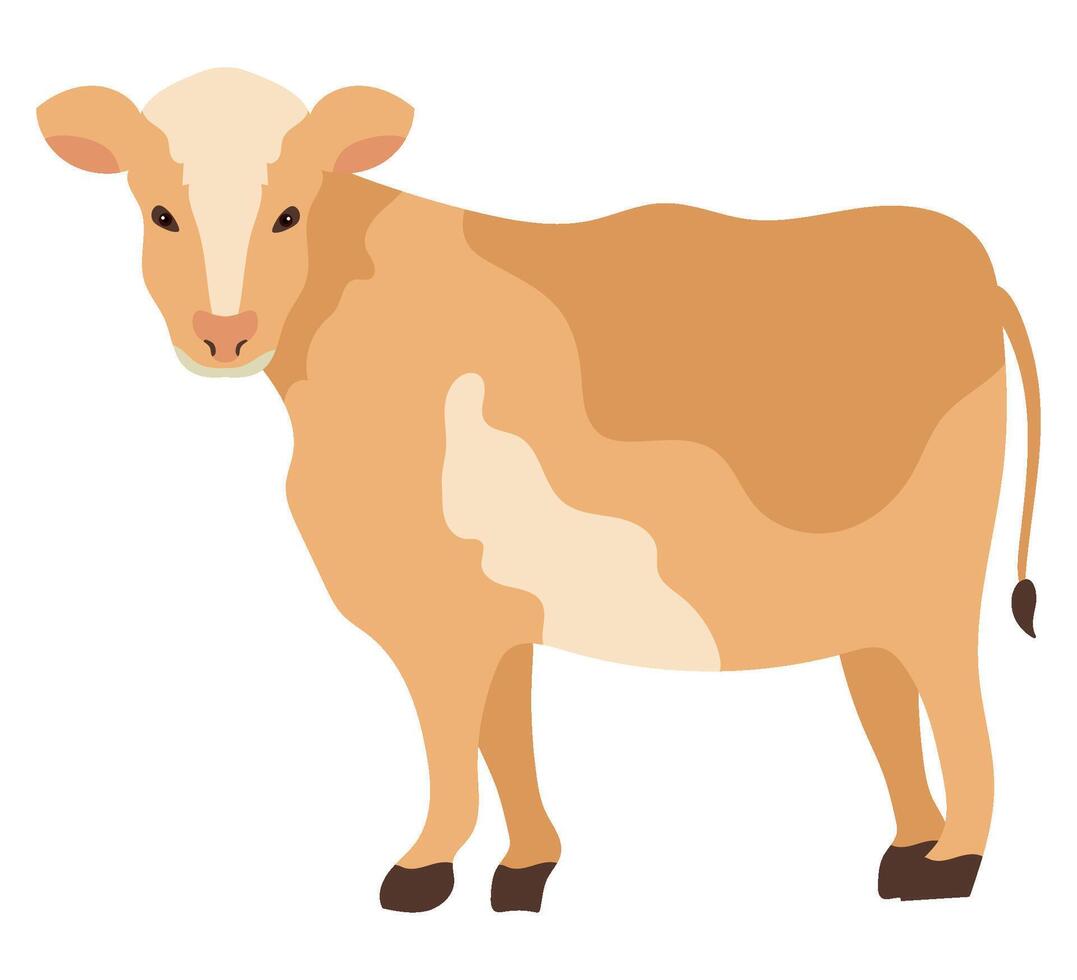 A cow standing on a white background vector