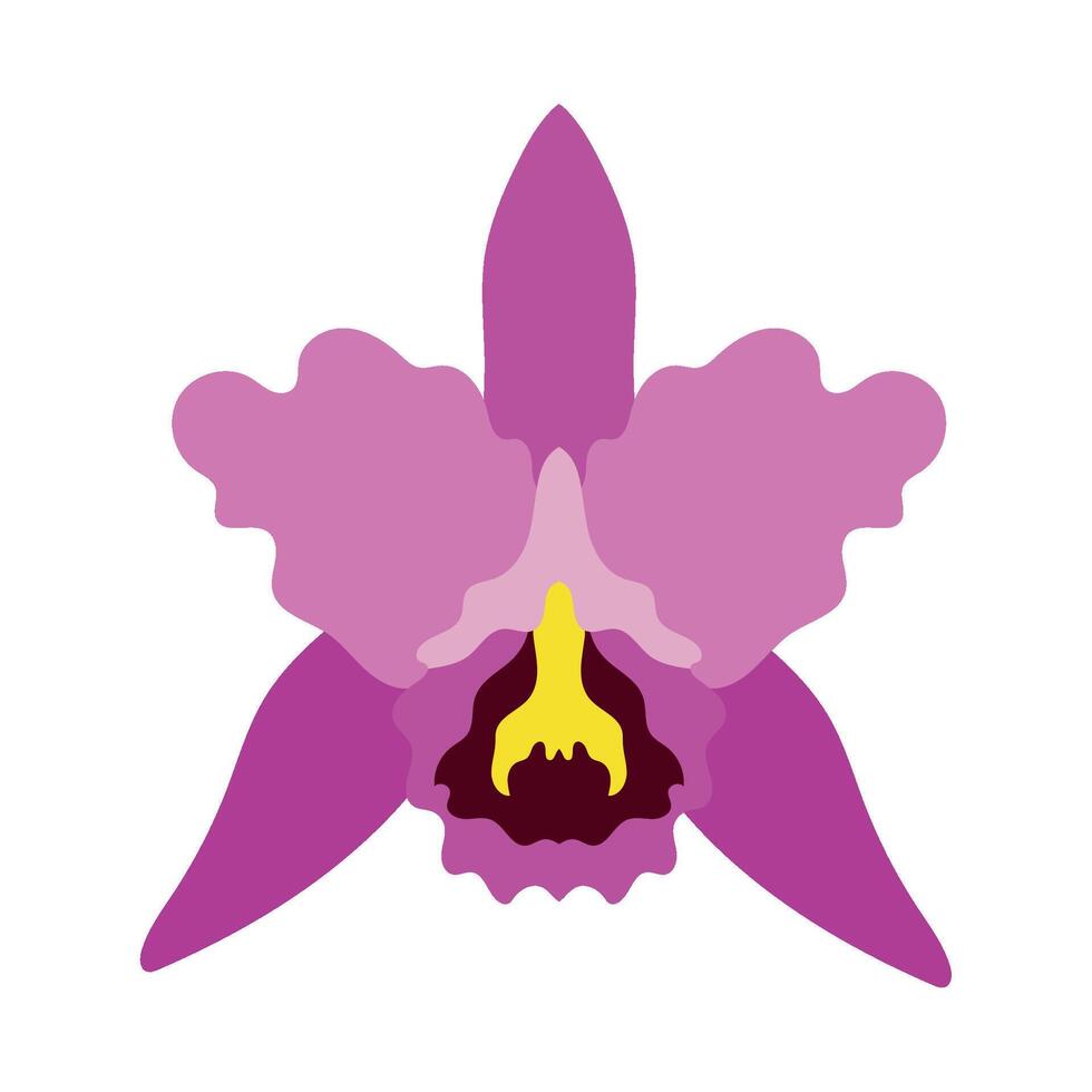 An orchid flower is shown in a flat style vector