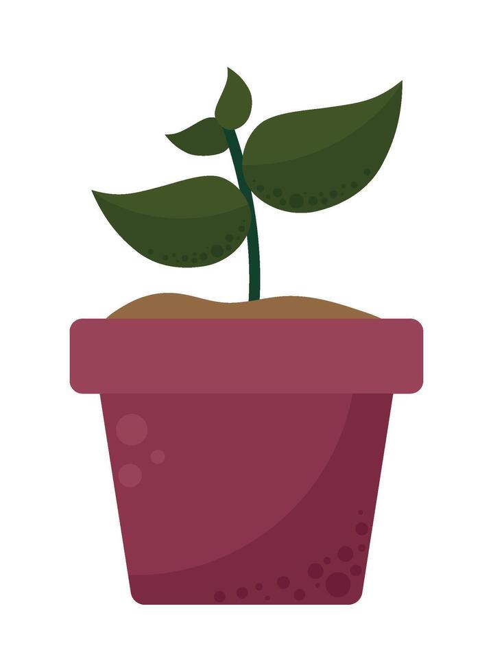 Plant in pot illustration vector