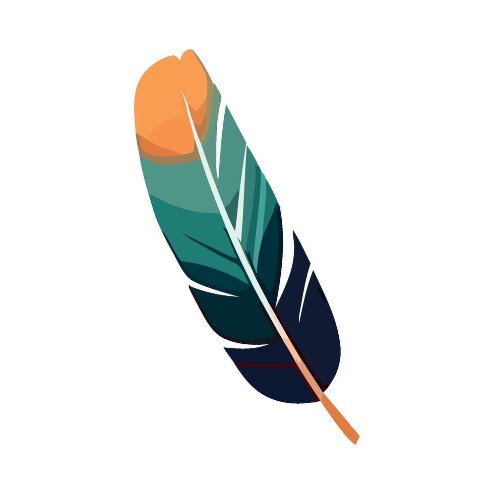 A colorful feather on a white background vector
