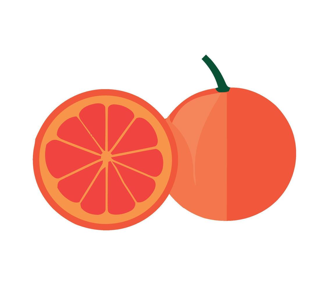 An orange and a half cut in half vector