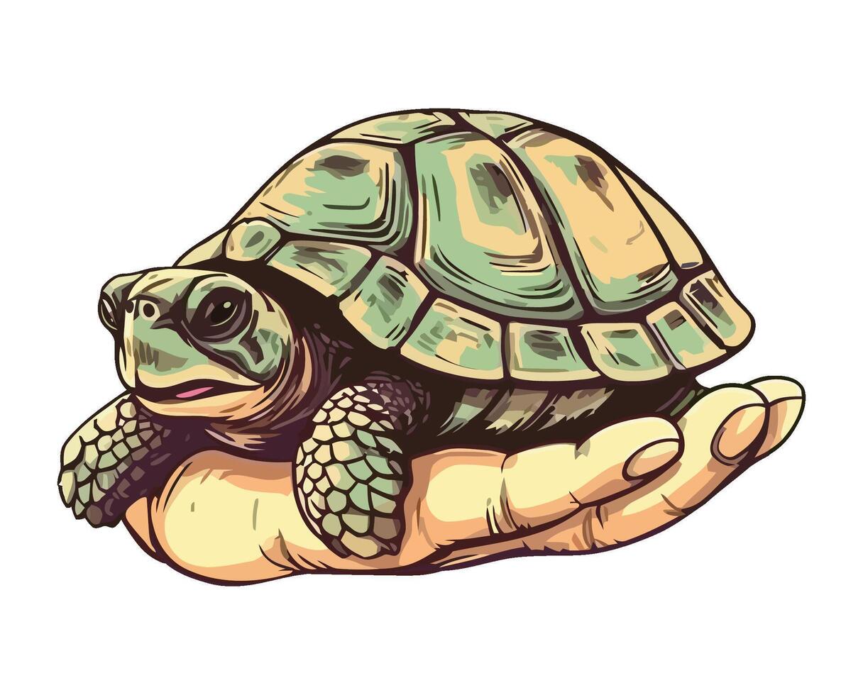 Hand holding a turtle illustration vector